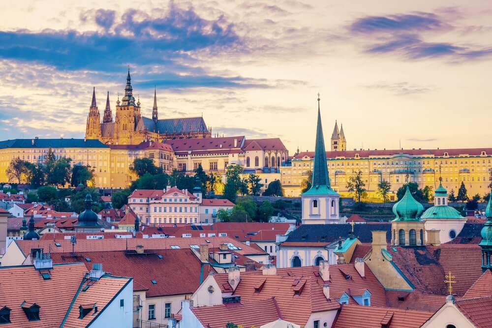 shutterstock 2467655913 1