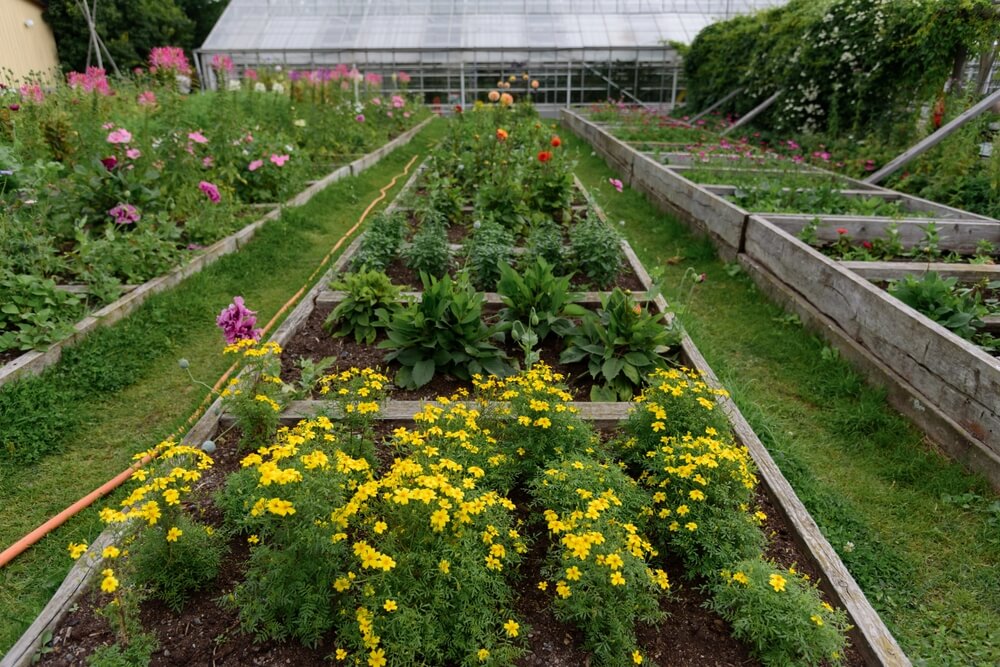 shutterstock 2188661905