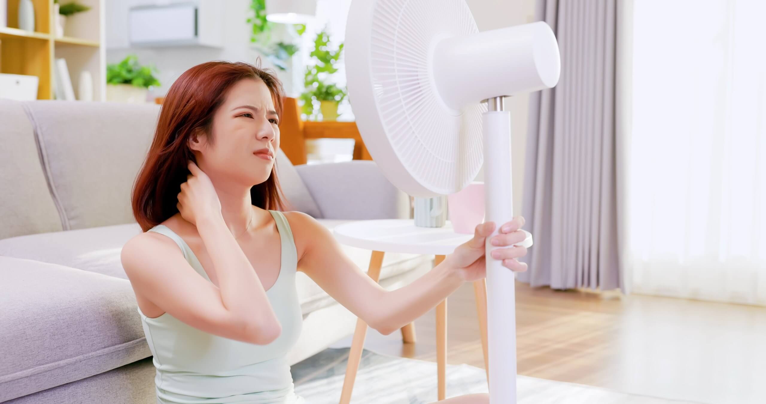 Free tour guide to Seoul - fan