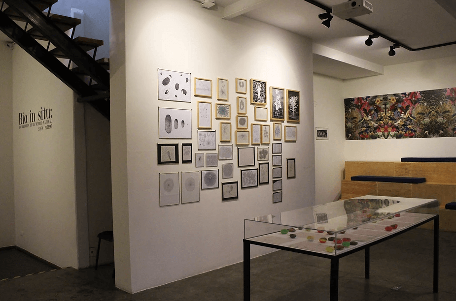 MUCA Roma Underground Art Sanctuary