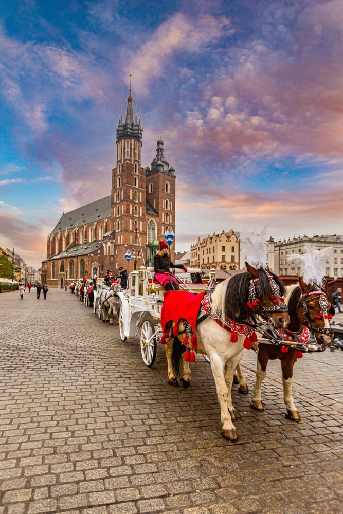 free tour guide to krakow - horses main square
