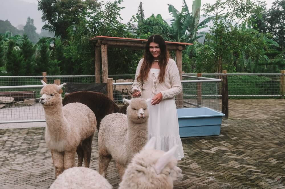 How to Become a Regenerative Tourist in 2025: Your Guide to Mindful Travel 2 how to become a regenerative tourist