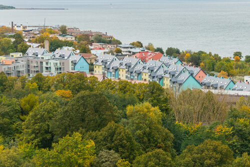 shutterstock 1648993774