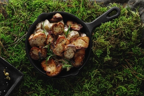 shutterstock 2428830199