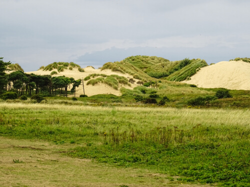 shutterstock 1276747840