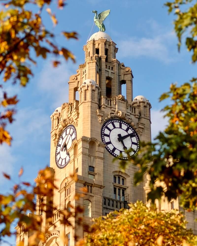 shutterstock 2371558307