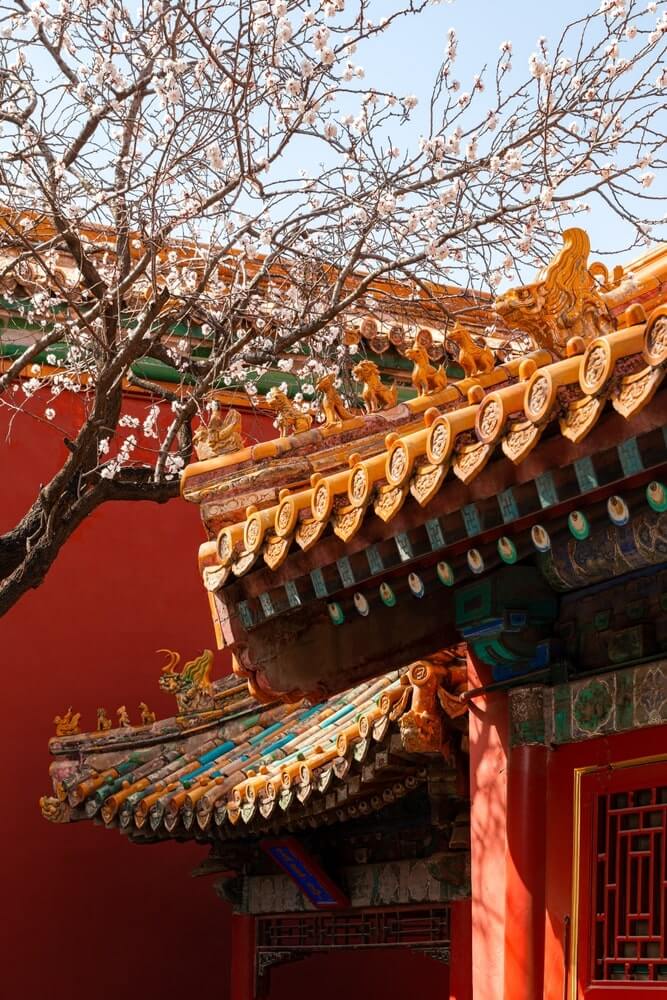 free tour guide to beijing - hero2