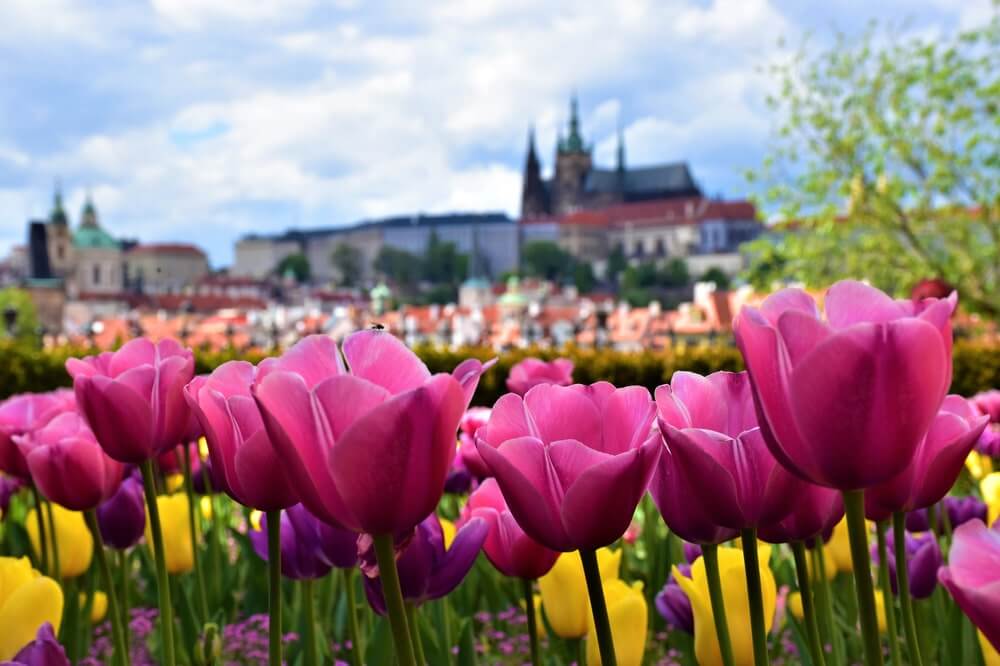 Easter Weekend City Breaks: Prague's Spring Magic 4 shutterstock 1719978121 min
