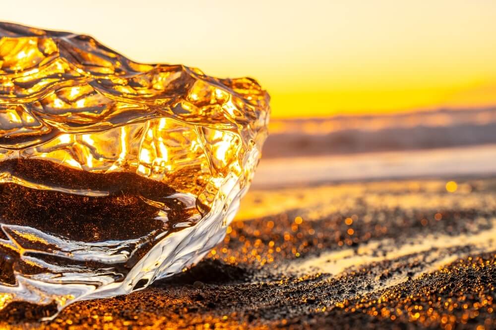 Earth Day 2025: 3 Cities, 3 Tours, and Zero Guilt Adventures 3 shutterstock 2500438787 min