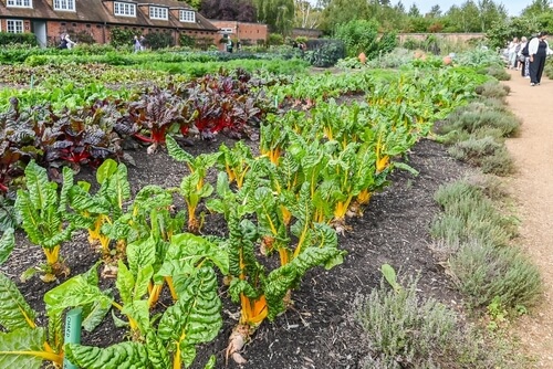 shutterstock 2548287765