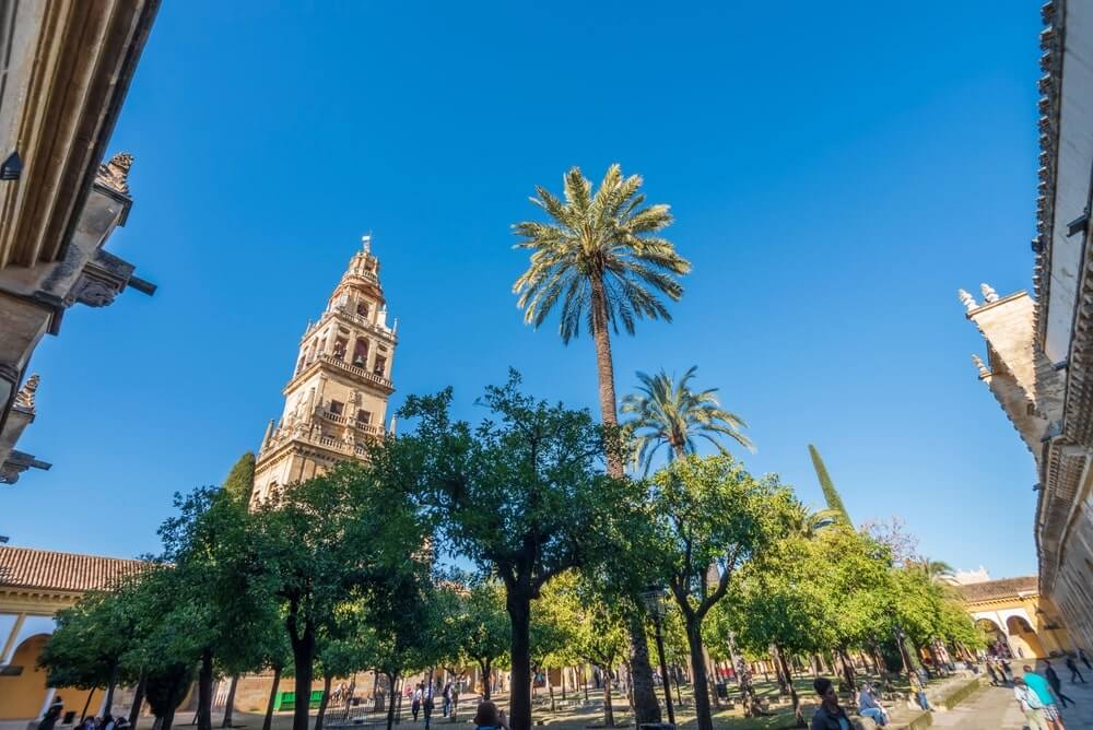 shutterstock 2284281417 min