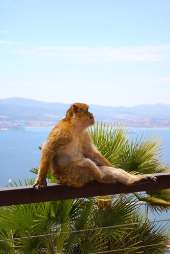 shutterstock 2362403349