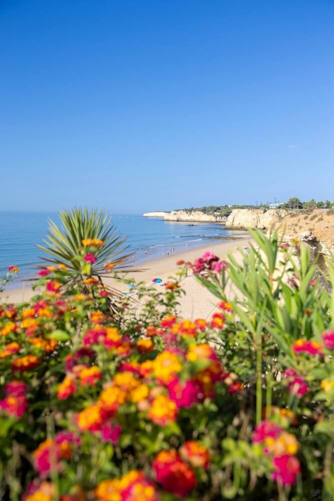 free tour guide to algarve2