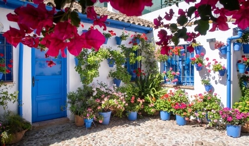 shutterstock 2458755883