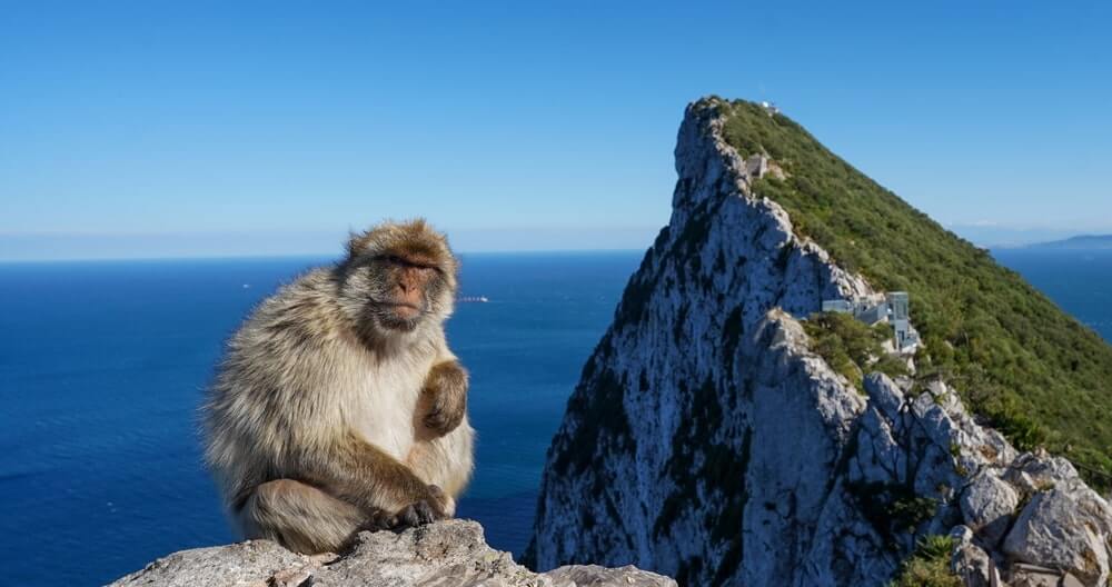 shutterstock 2481997603 min