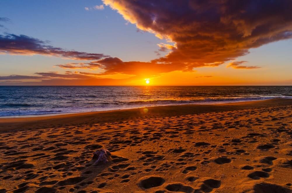 shutterstock 2543456395 min