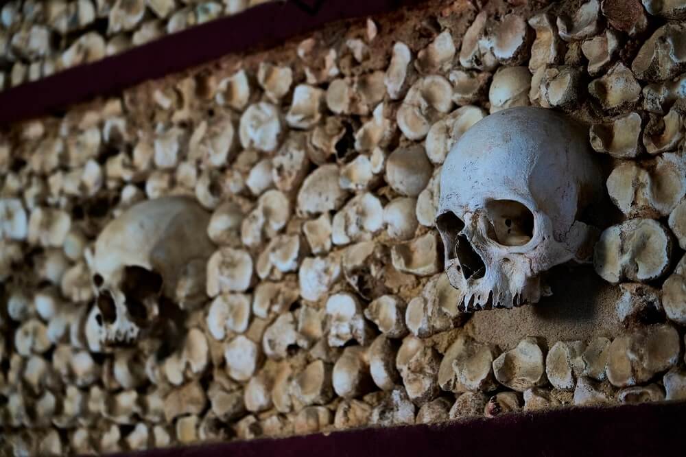 shutterstock 2562156571 min