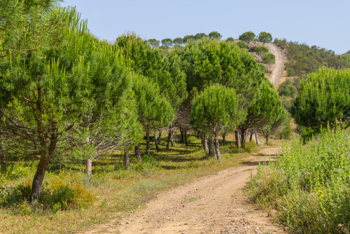 shutterstock 731829661