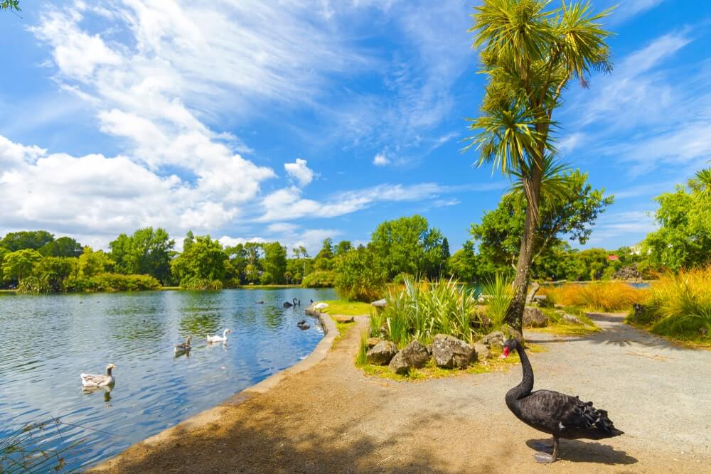 shutterstock 1478954684 min