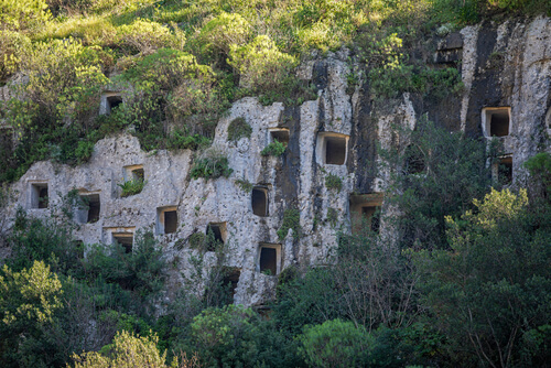 shutterstock 1877880007