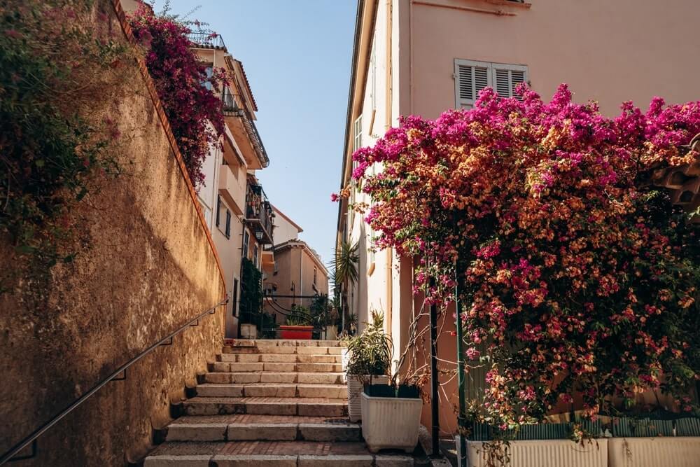 shutterstock 2506637597 min