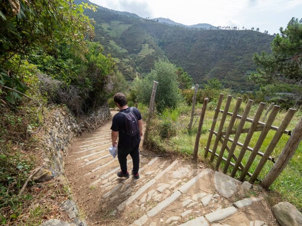 shutterstock 2357028065 min