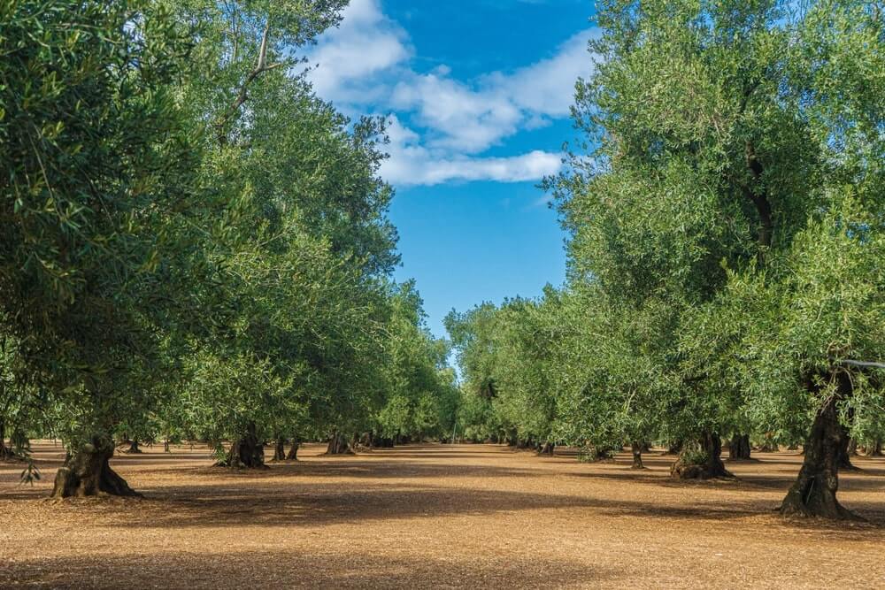 shutterstock 2506101137 min