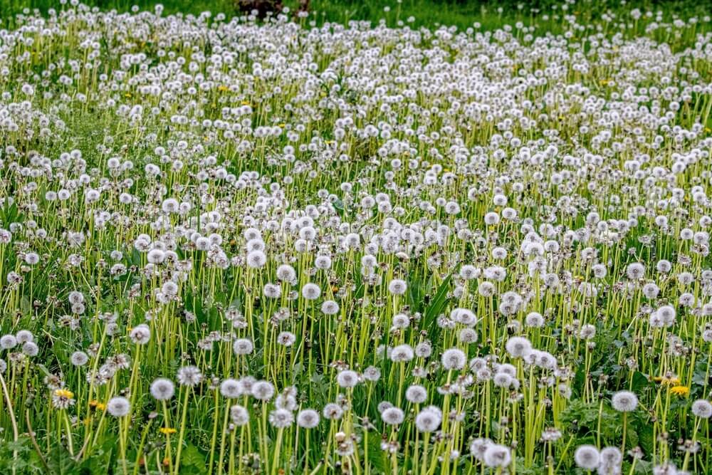 shutterstock 2630731533 min