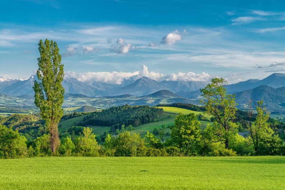 shutterstock 1940740126 min