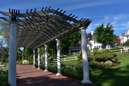 shutterstock 1127532557