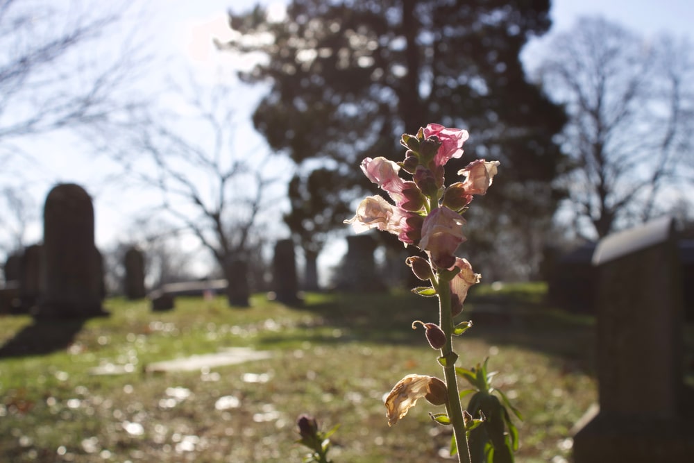 shutterstock 1884072814 min