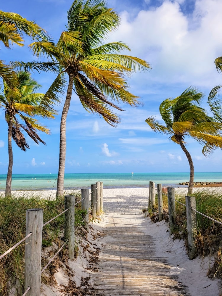 free tour guide to key west - palm tree