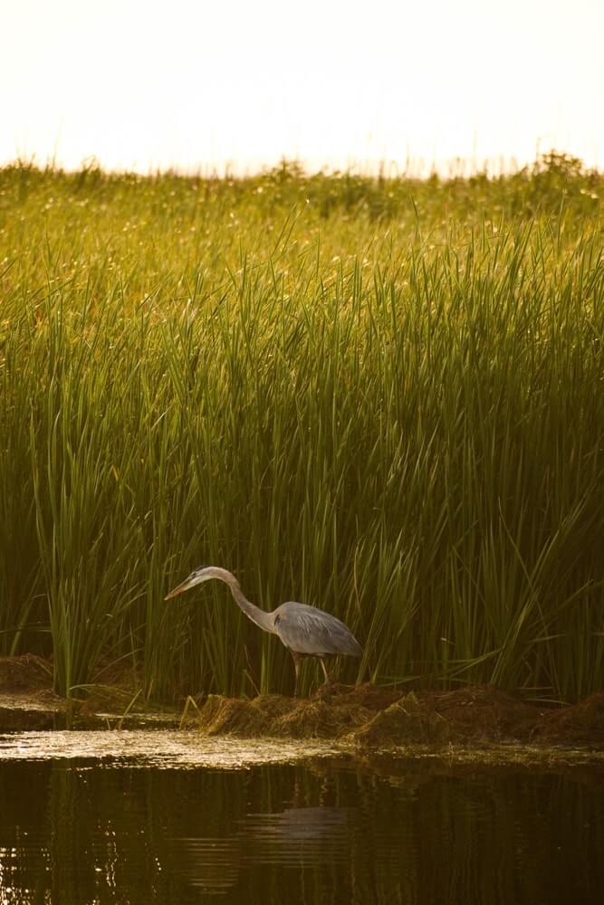 shutterstock 2571574693 min