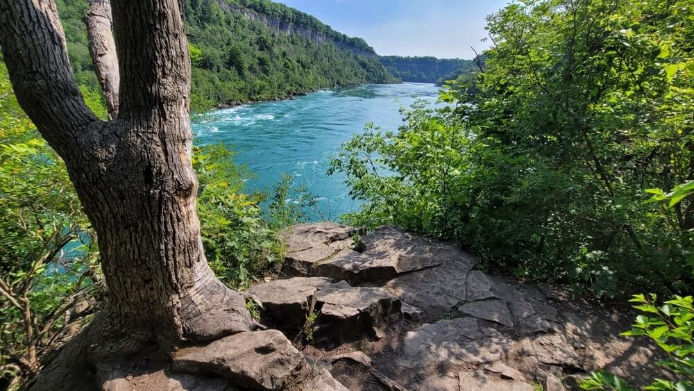 shutterstock 2594204825 min