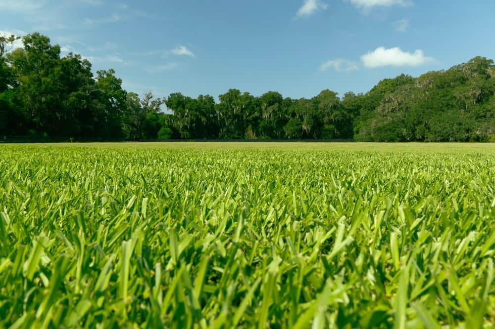 shutterstock 2670927651 min