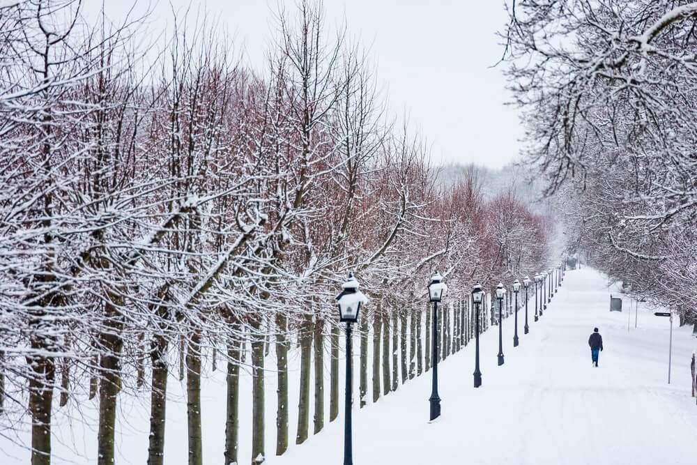 shutterstock 1908448924 min