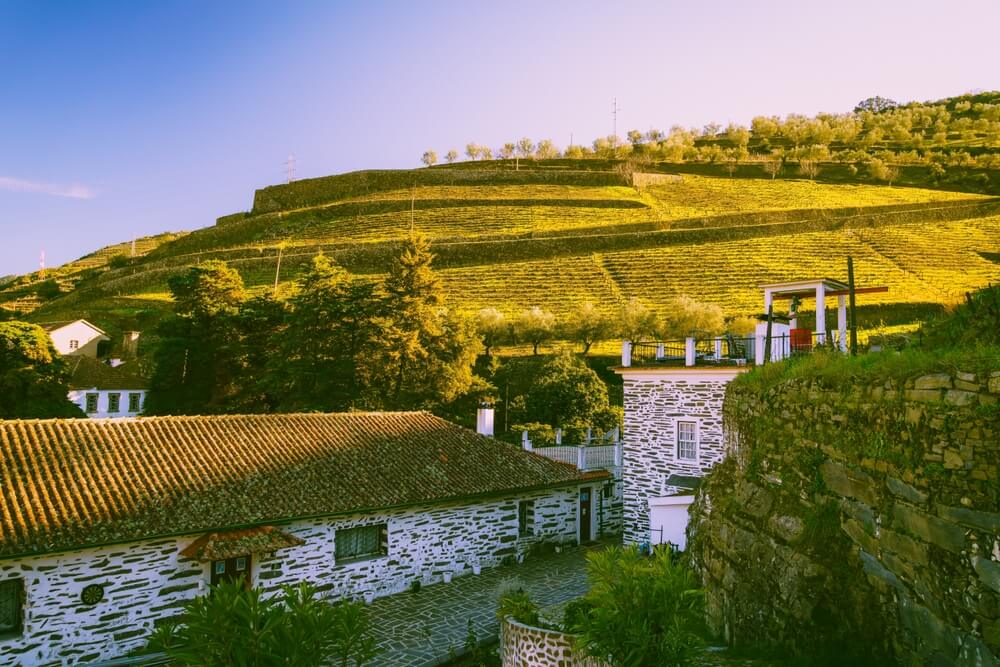 shutterstock 2503859787