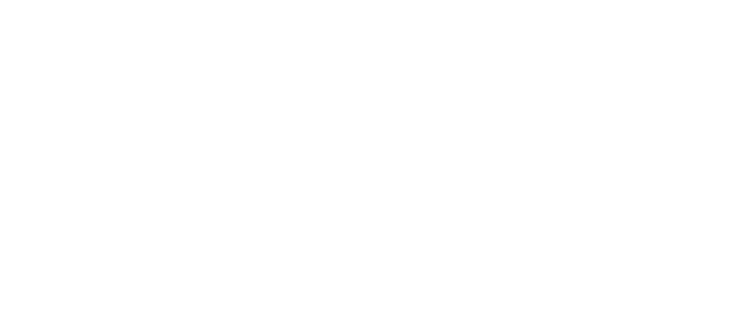 Wingman