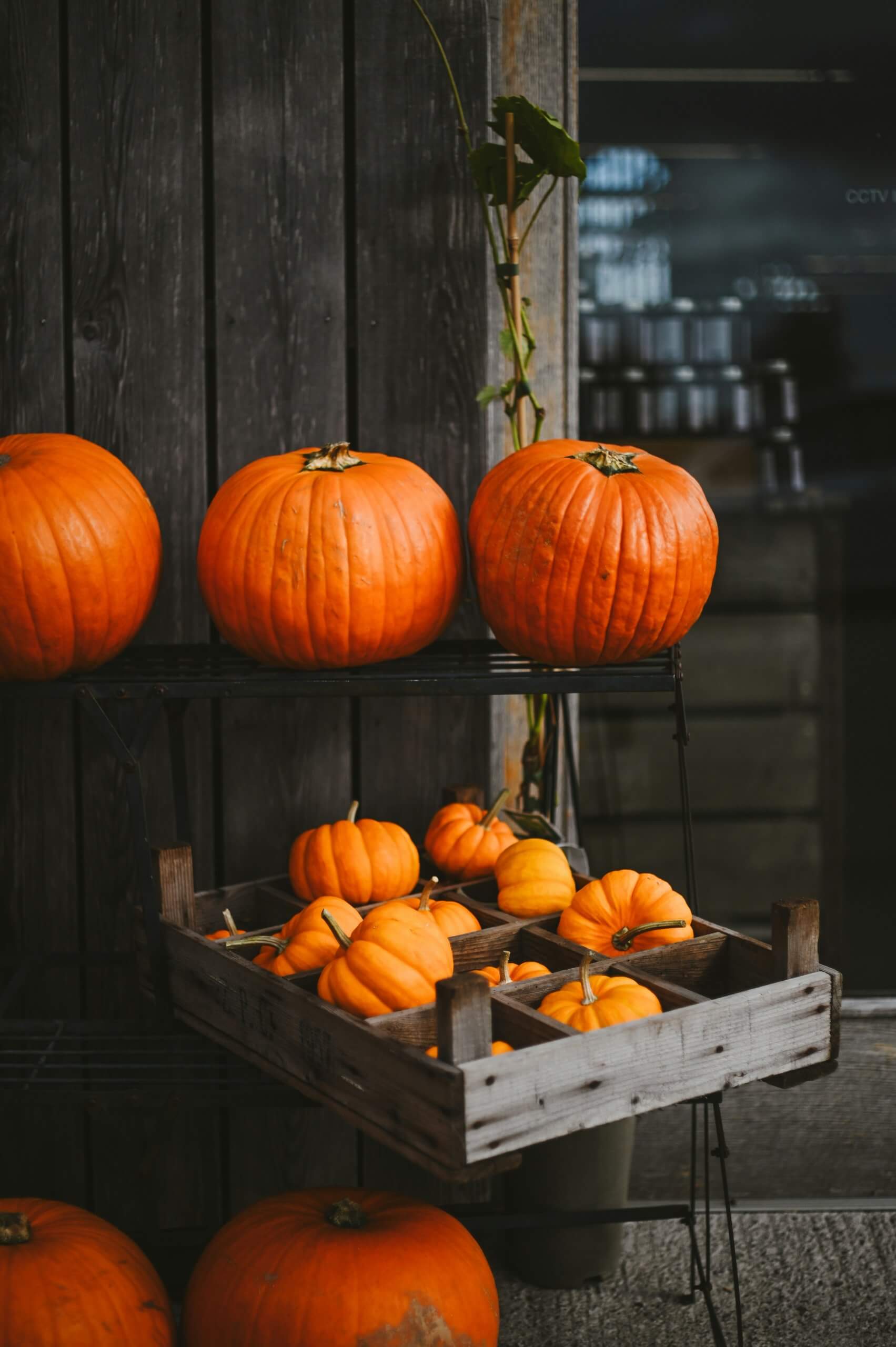 Candles and autumn leaves on a dark evening